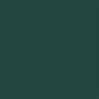 Forest Green (PMS 560C)
