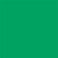 Kelly Green (PMS 347C)