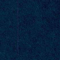 Navy Blue Solid