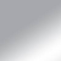 Silver (PMS 877C)