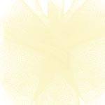 Ivory tulle ribbon gathered in a rosette — soft sheer mesh netting, 6" width, 25 yards