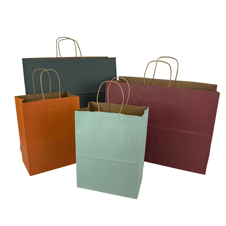 Mountain Vibes Tinted Paper Shopping Bags
