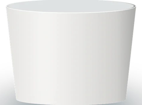 Blank Short 20 oz container drawn to scale